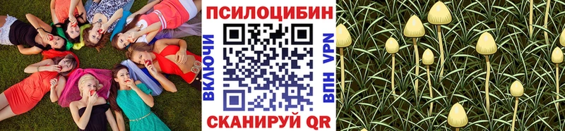 Купить закладки Заволжск Псилоцибиновые грибы прущие грибы
